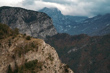 Aerial view of a beautiful forest near the mountains