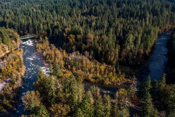 Fototapeta na wymiar Aerial view of a beautiful autumn forest with a river on a warm sunny day