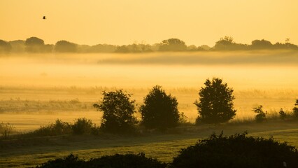 Fototapeta na wymiar Beautiful soft sunrise over the misty field