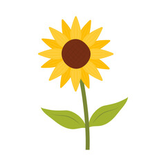 Sunflower icon isolated on white background vector illustration. Cute hand drawn flower.