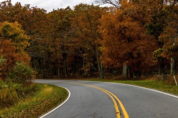View of The Skyline Drive in Shenandoah National Park, during autumn, with autumn-colored trees