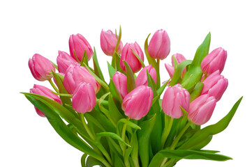 Obraz premium Tulpen als Blumenstrauß