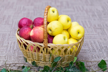 Basket with red and yellow apples, autumn decoration