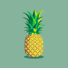 Vector illustration of a pineapple