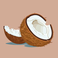 Vector illustration of a sliced coconut
