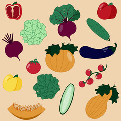 Seamless vegetables pattern. Set of vegetable with beetroot, pumpkin, pumpkin slice, cucumber, tomato, cherry tomatoes, cabbage, sweet bell pepper, eggplant on  background.