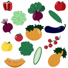 Seamless vegetables pattern. Set of vegetable with beetroot, pumpkin, pumpkin slice, cucumber, tomato, cherry tomatoes, cabbage, sweet bell pepper, eggplant on white background.