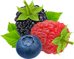Berries mix. Blueberry, raspberry and blackberry isolated