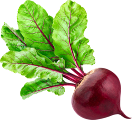 Beetroot vegetable isolated	