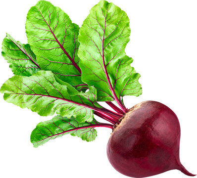 Beetroot vegetable isolated	
