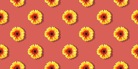Gerbera Daisies seamless