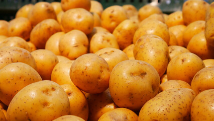 Close-up of many golden fresh potatoes