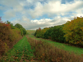 Wiese und Wald im Oktober in herbstlichen Farben auf dem Premium-Wanderweg Michels Vitaltour im...
