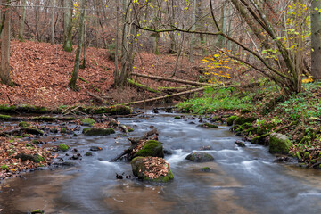 A lovely little river in a forest, autumn scenery