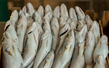 Raw sardines in a box.