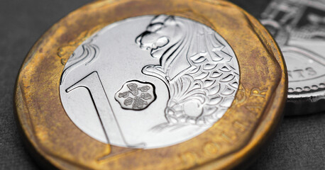 1 Singapore dollar. Fragment of textured coin close-up. Horizontal stories on the theme of...