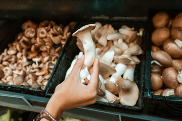 Female hand choosing fresh seasonal mushroom at the market or shop