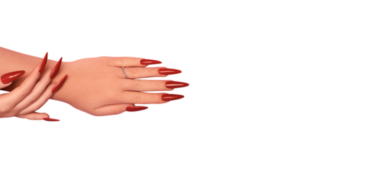 Female hands with red stiletto nails design. Glitter red nail polish manicure. Female hands with stiletto nails design on transparent background. PNG. Copy space. Place for text.
