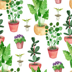 Seamless pattern of indoor plants: ficus, palm, violet, potted money tree hand-painted in watercolor on a white background. Suitable for printing on fabric, design, scrapbooking, books