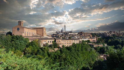Panorama der Altstadt von Siena - obrazy, fototapety, plakaty
