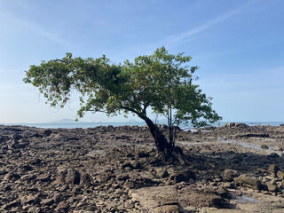 Panama