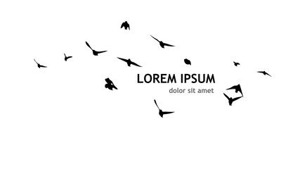 A flock of flying birds. Free birds. Vector illustration
