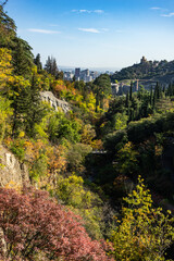 Autumnal Tbilisi's botanical garden