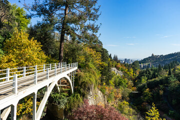 Fototapeta premium Autumnal Tbilisi's botanical garden