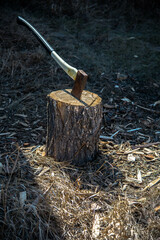 axe in the stump
