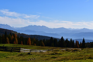 Schöne Landschaft auf dem Salten in Südtirol mit Blick zu den Dolomiten  © Sigena