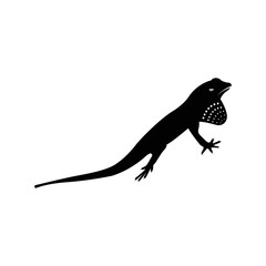 Obraz na płótnie Canvas Wild animal reptiles anoles icon | Black Vector illustration |