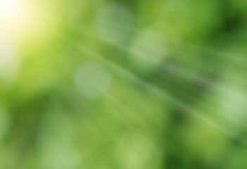 Defocused or blurred photo of sun  rays or light beam with boked and nature background.