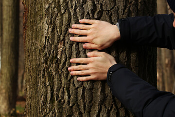 Young man hands and tree trunk in the forest. Pavel Kubarkov, my hands and tree trunk. Photo was taken 30 October 2022 year, MSK time in Russia. - 545498251