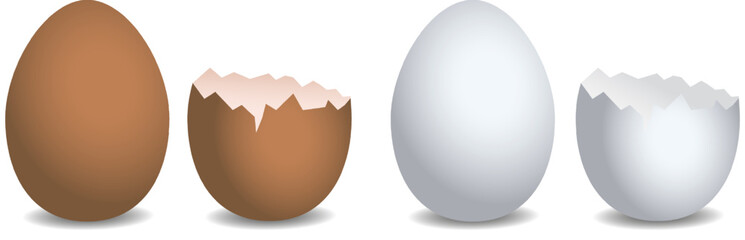Set of realistic eggs. Large egg and cracked egg. Vector realistic eggs on an isolated background. EPS 10 - obrazy, fototapety, plakaty
