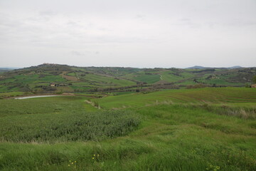 Fototapeta na wymiar Green Tuscany landscape in spring, Italy