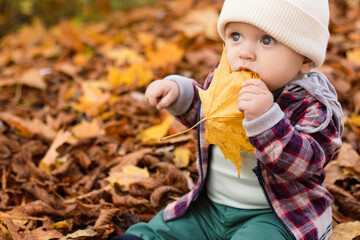 Little cute baby boy have fun outdoors in the park in autumn time