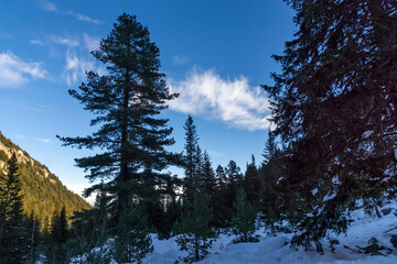 Winter landscape of Rila Mountain near Malyovitsa peak, Bulgaria