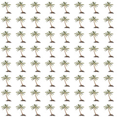 seamless pattern with palms on the white
