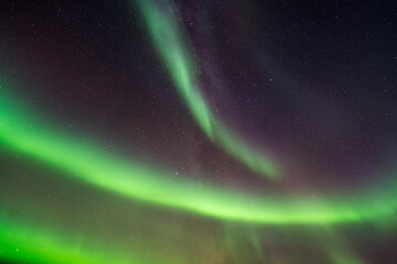 colorful northern light (Aurora) in the night sky