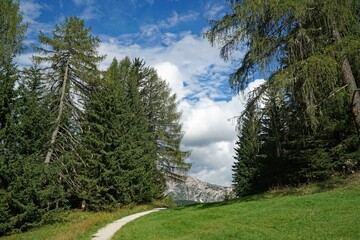 Fototapeta na wymiar path in the mountains: hiking trail in the dolomites