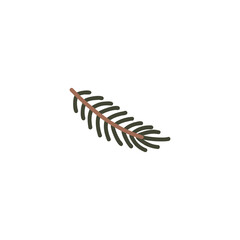 Hand drawn pine tree branch. Green lush spruce branch. Vector doodle illustration