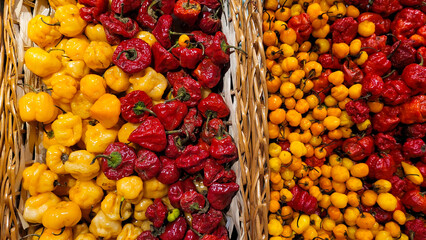 colored peppers and wooden basket, girl finger pepper, pout pepper among others, red and yellow peppers