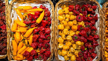colored peppers and wooden basket, girl finger pepper, pout pepper among others, red and yellow peppers