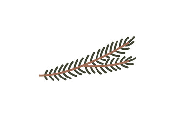 Hand drawn pine tree branch. Green lush spruce branch. Vector doodle illustration