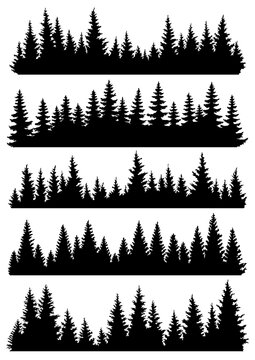 Fir trees silhouettes set. Coniferous or spruce forest horizontal background patterns, black pine woods  illustration. Beautiful hand drawn coniferous panoramas