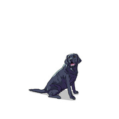Hand drawn colorful illustration isolated purebred black labrador retriever dog sitting smiling happily pet portrait design element transparent background