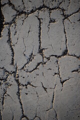 texture of white paint for road marking on asphalt, texture of painted asphalt cracked texture white background, white background on gray asphalt, pedestrian crossing, new road marking close up
