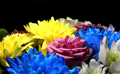 Colored Chrysanthemums And Roses Closeup Photo On Black Background
