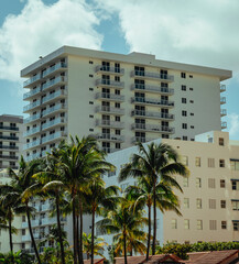 Fototapeta na wymiar trees in the city Miami Beach hotel 
