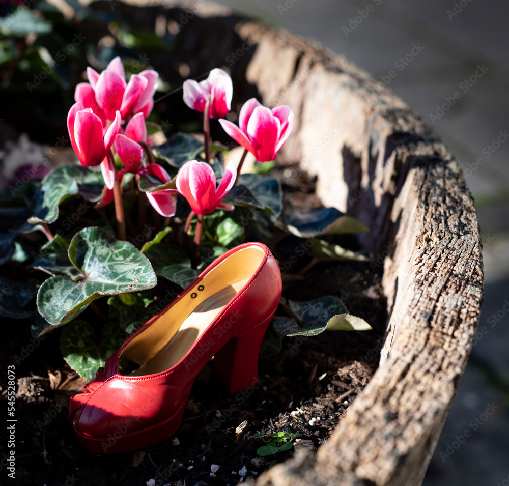 Wall mural red shoe and flower